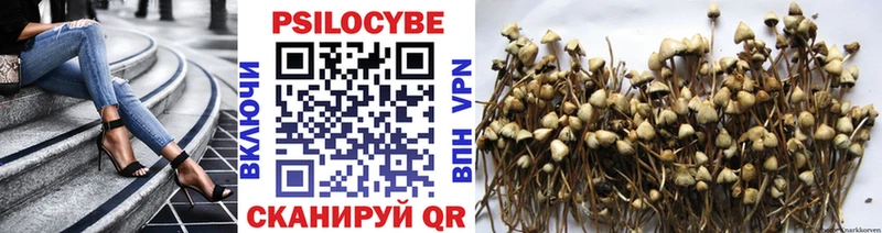 Галлюциногенные грибы Magic Shrooms  МЕГА как зайти  Шиханы 